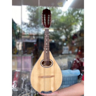 Đàn mangdolin Việt Nam