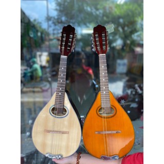 Đàn mangdolin Việt Nam