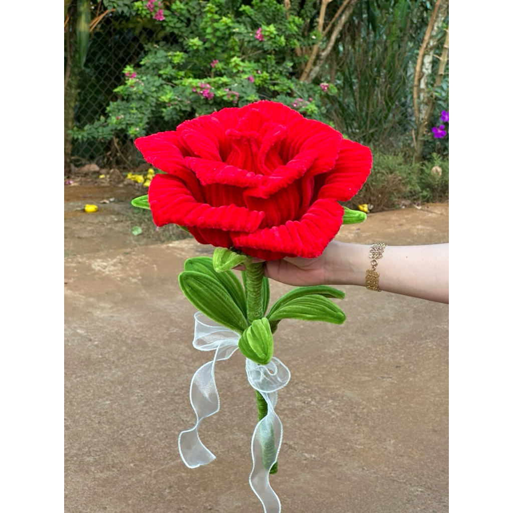 HOA HỒNG KHỔNG LỒ - HOA KẼM NHUNG