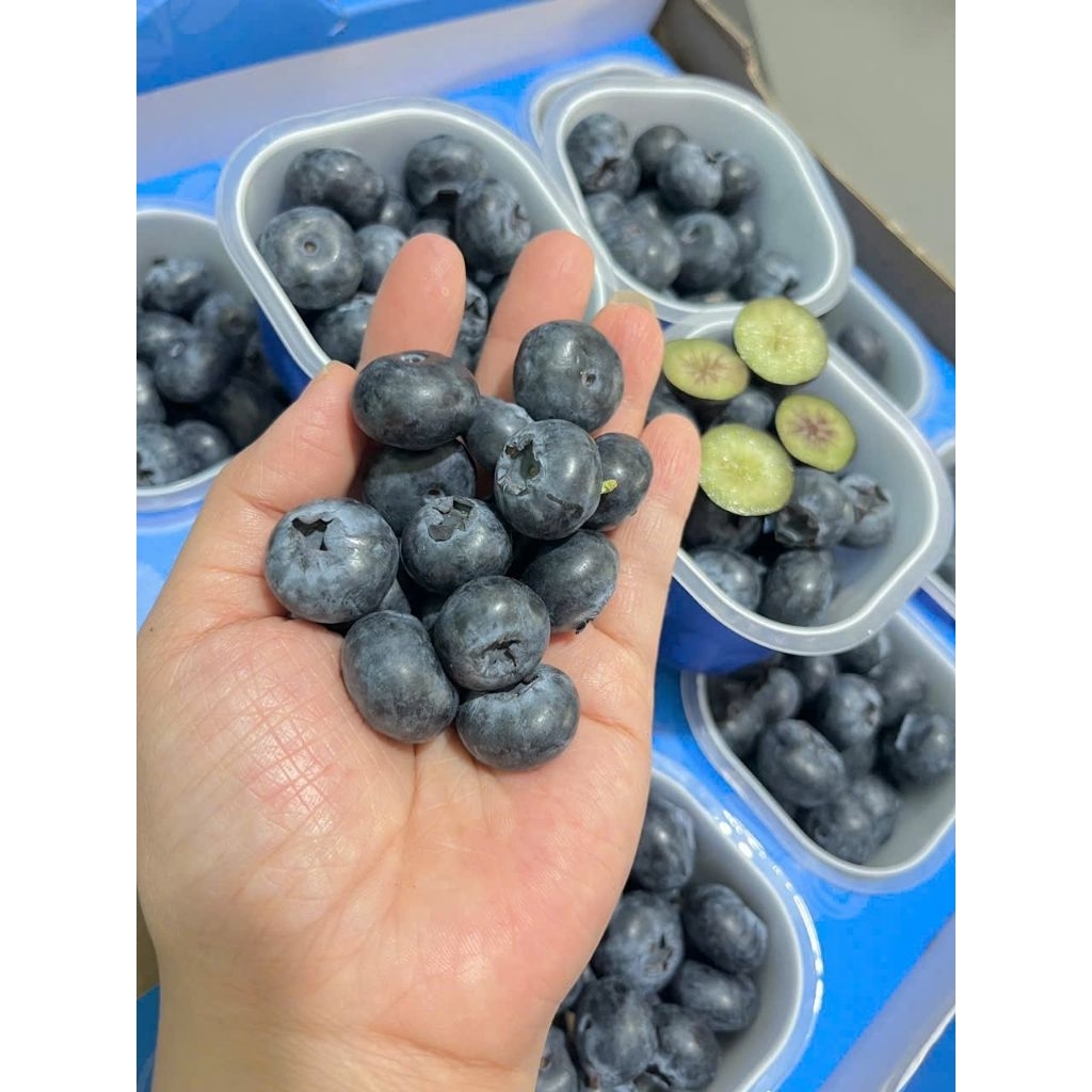 (Hoả Tốc HCM) 1 Hộp Việt Quất Peru /Đài Loan Nhập Khẩu Theo Mùa