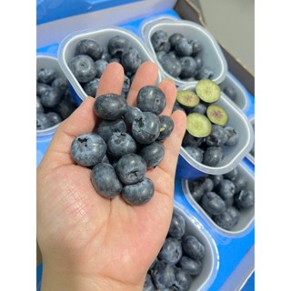 (Hoả Tốc HCM) 1 Hộp Việt Quất Peru /Đài Loan Nhập Khẩu Theo Mùa