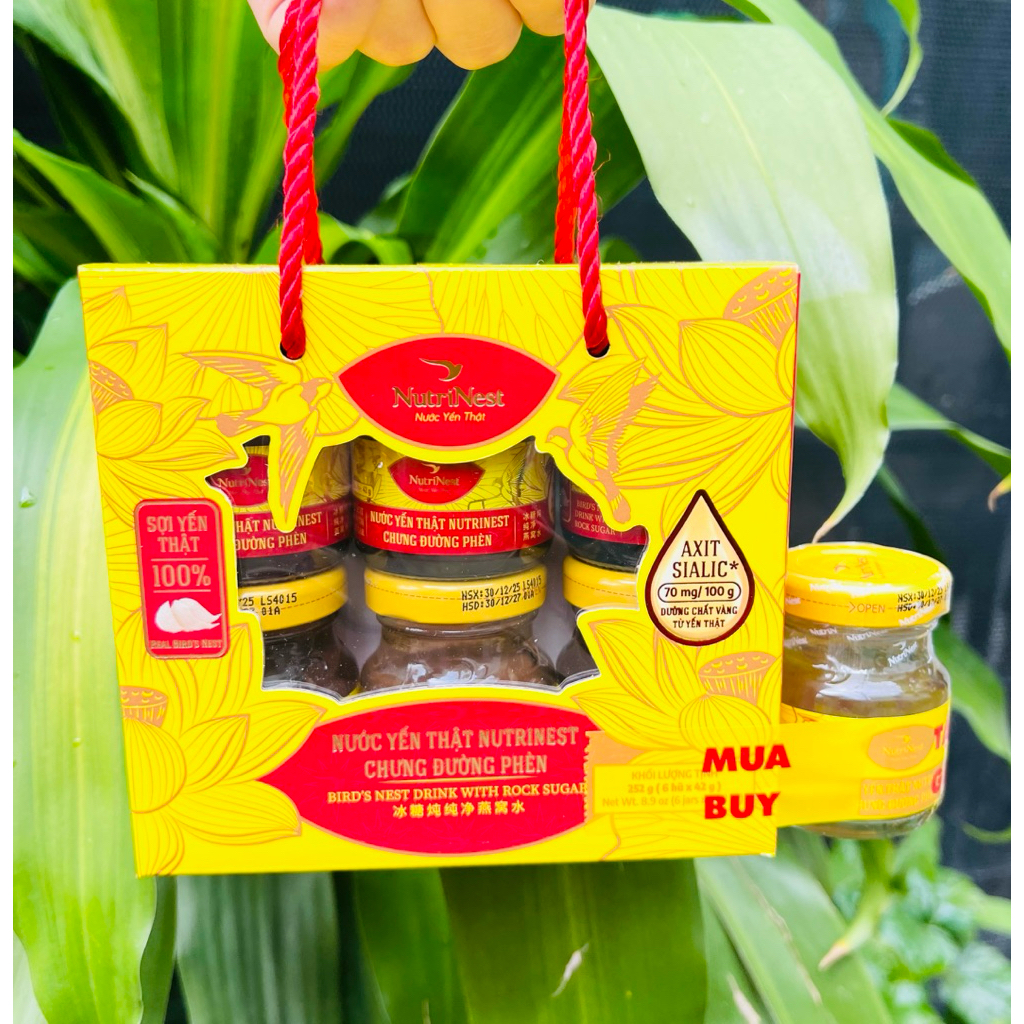 Lốc 6 hủ tặng kèm 1 hủ (7 hủ x 42g) nước yến thật Nutrinest chưng đường phèn