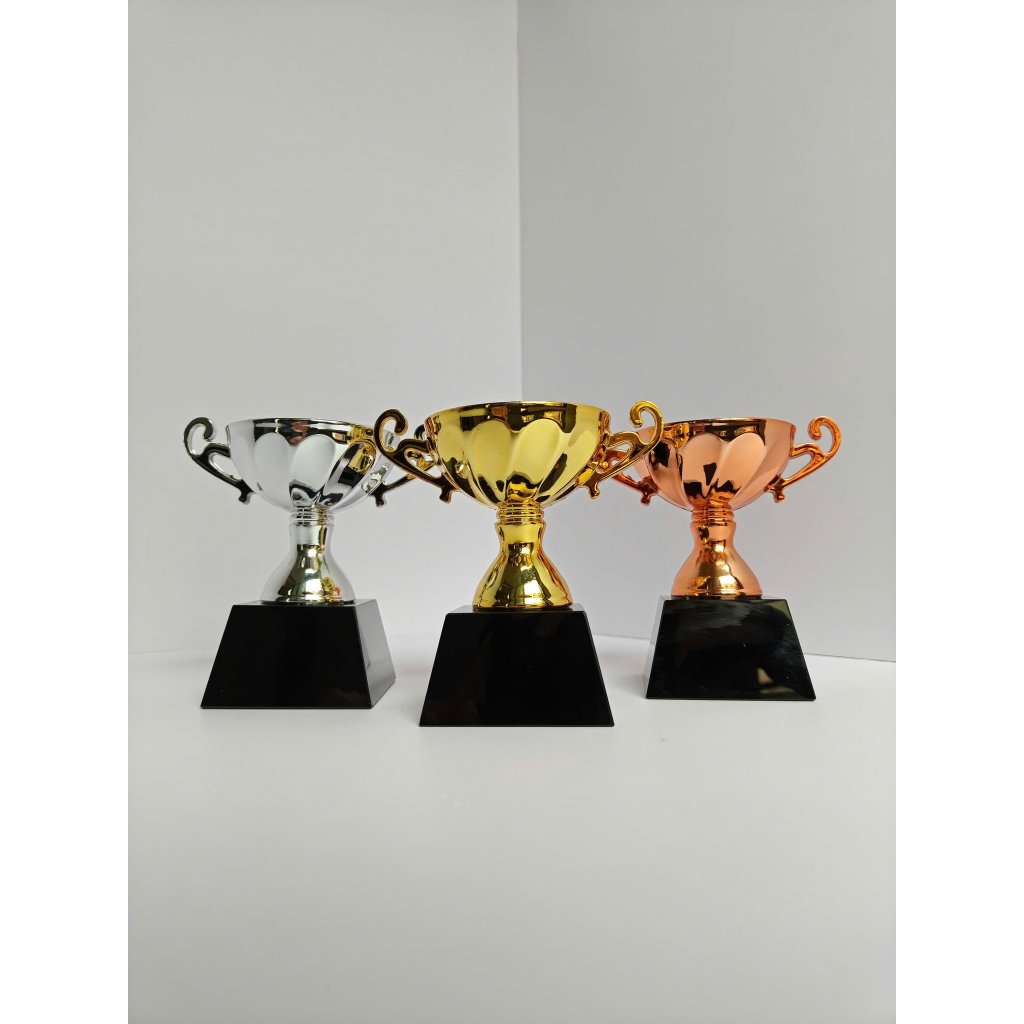 Cúp Pickleball, Cúp Vinh Danh Mini