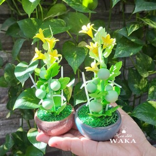 Hoa Đất Sét Mini- Bầu Hồ Lô Mini 15cm