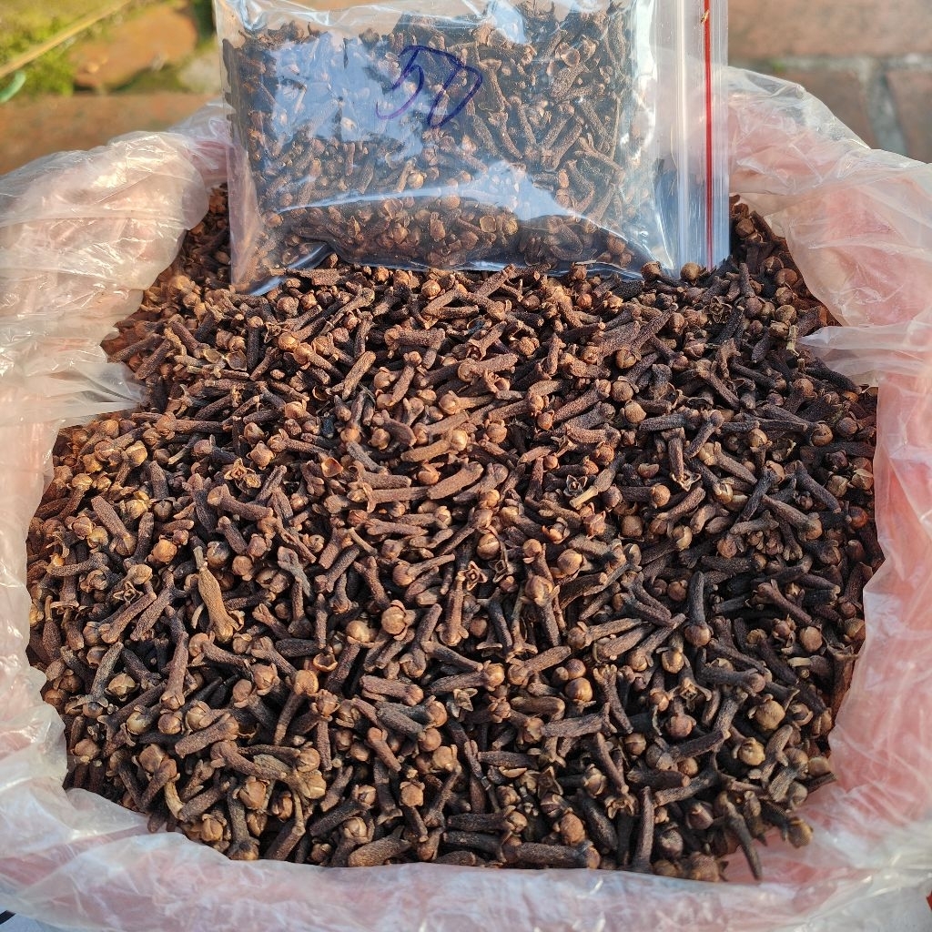 Đinh Hương, nụ Đinh Hương