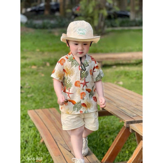 (Linh An Kids) Bộ đũi cộc tay Sao Biển bảnh trai cho bé , bộ cộc tay bé trai chất đũi mát mẻ , bộ bé trai cộc tay