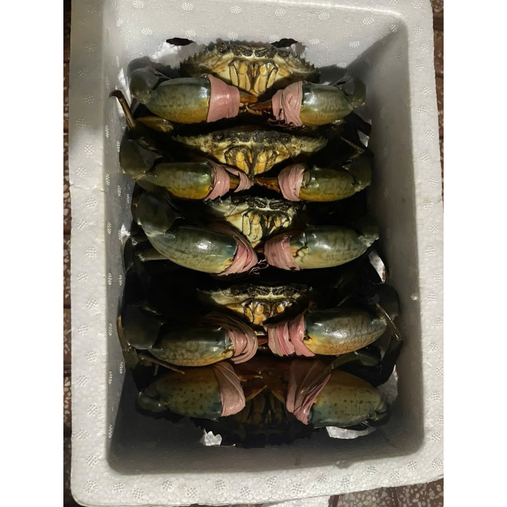 Cua gạch Cà Mau (cua vùng Năm Căn) size lớn 2-3 con/1kg