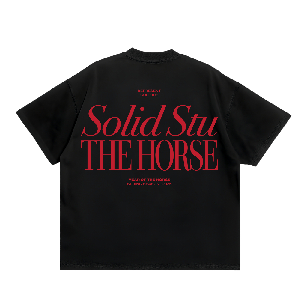 Áo Thun Boxy Thêu In Nổi THEHORSE SOLID Local Brand Unisex Cotton 100% 240GSM - TS42 | BigBuy360 - bigbuy360.vn