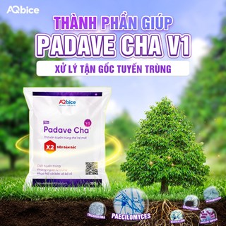 Tuyến trùng rễ Padave Cha V1 250gr - Chế phẩm sinh học phục hồi, bảo vệ rễ trong đất- AQPada
