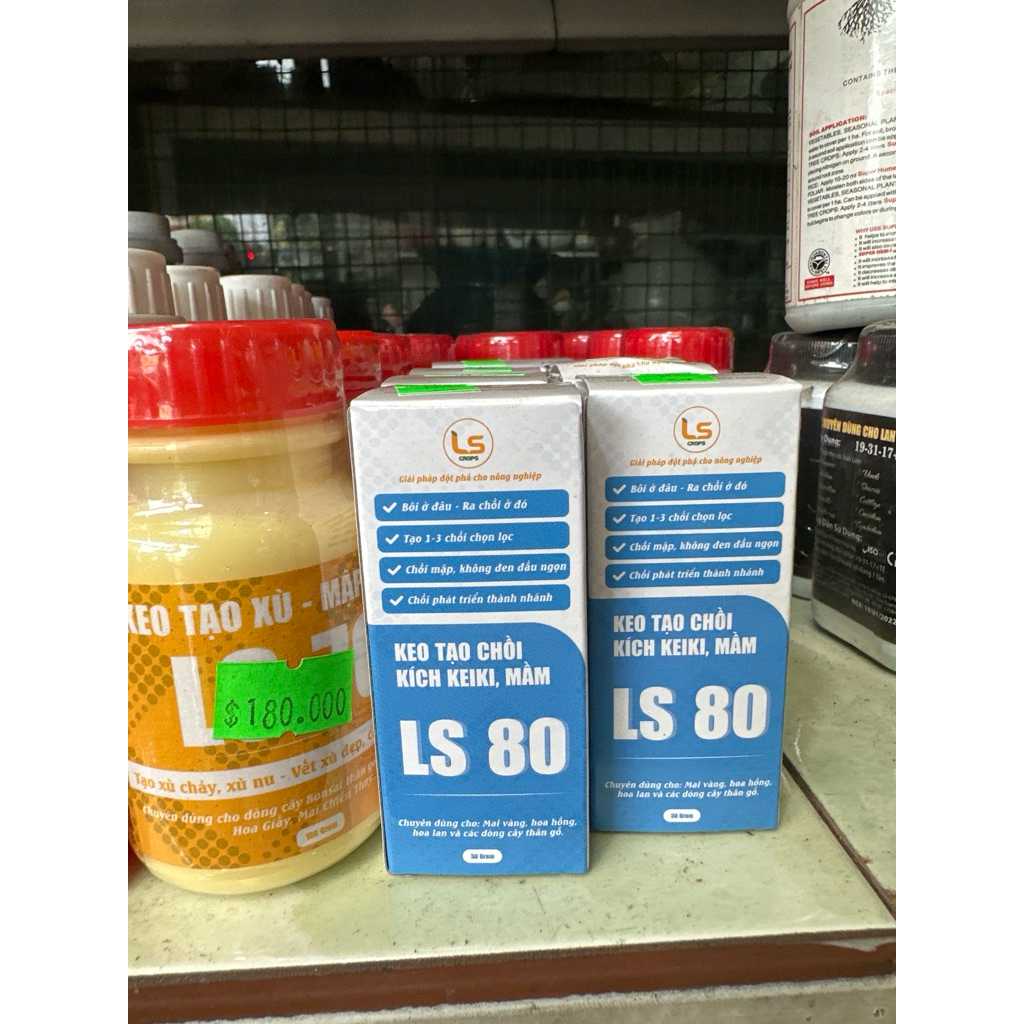 Keo tạo chồi kích Keiki, mầm hủ 30gam LS80