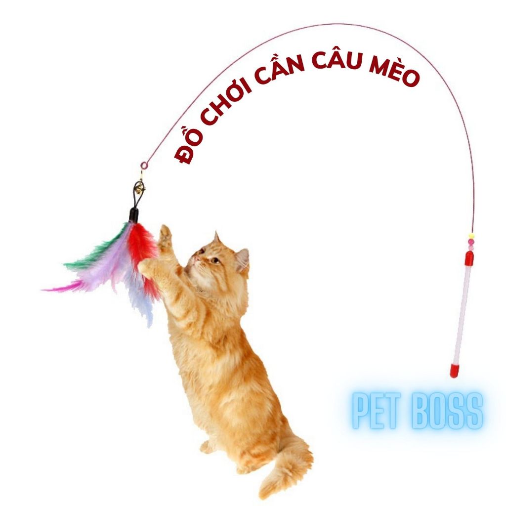 CẦN CÂU DÂY THÉP ĐỒ CHƠI CHO MÈO CÓ BÁN LẺ LÔNG GÀ, ĐỒ CHOI THÚ CƯNG