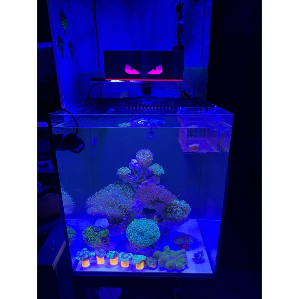 CHẮN SÁNG ĐÈN M029 HỒ CÁ BIỂN IN 3D PETG – GIẢM CHÓI, TẬP TRUNG ÁNH SÁNG HIỆU QUẢ