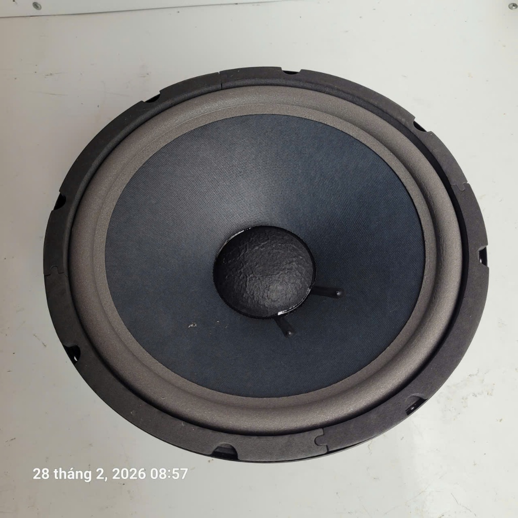 thanh lý Bass 30 từ kép bmb coil 65 xương sắt - 1 cái