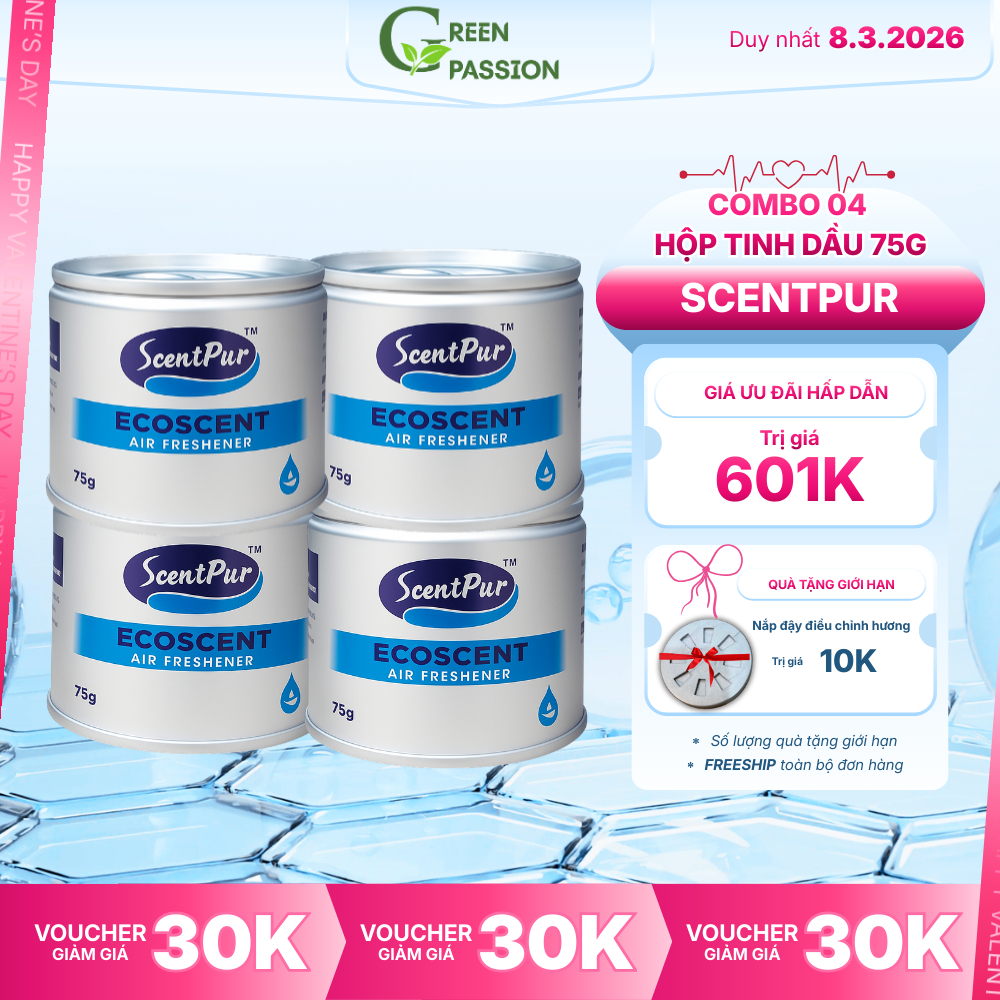 COMBO 04 Tinh dầu ScentPur 75g thơm lâu, thanh lọc không khí - Hương thơm như Khách sạn, Cinema CGV