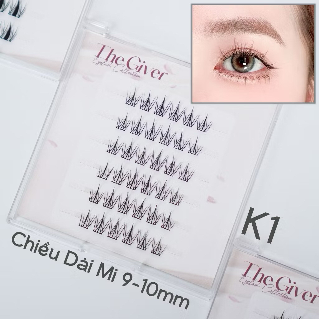 <Pass> Hộp mi giả, keo dán mi, nước tẩy trang The Giver