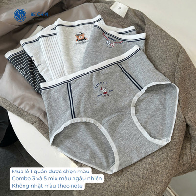 Combo 5 Quần Lót Nữ Cotton Organic Mix Kẻ Freesize (47-63kg) QL5958 Nội Y Bechipi