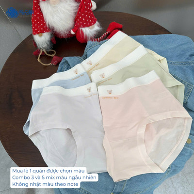 Combo 5 Quần Lót Nữ Modal Cạp Vừa Mềm Mịn Màu Pastel (47-63kg) QL1050 Nội Y Bechipi