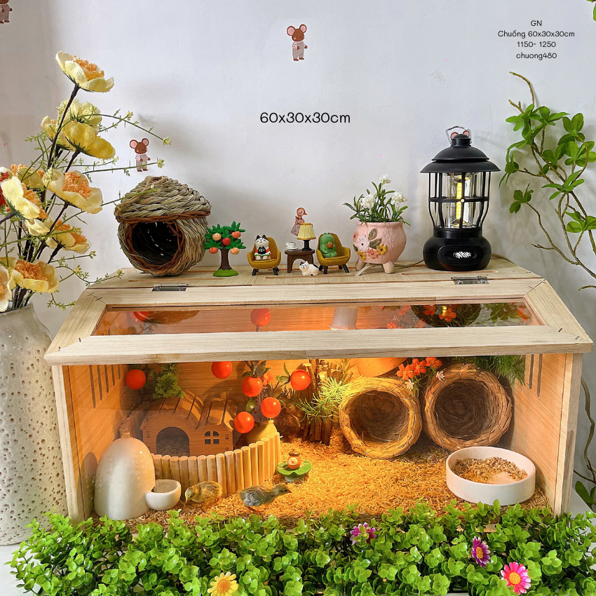 Chuồng Gà Rutin 60x30x30 Full Combo chuồng, nuôi Gà Rutin, chuột Hamster