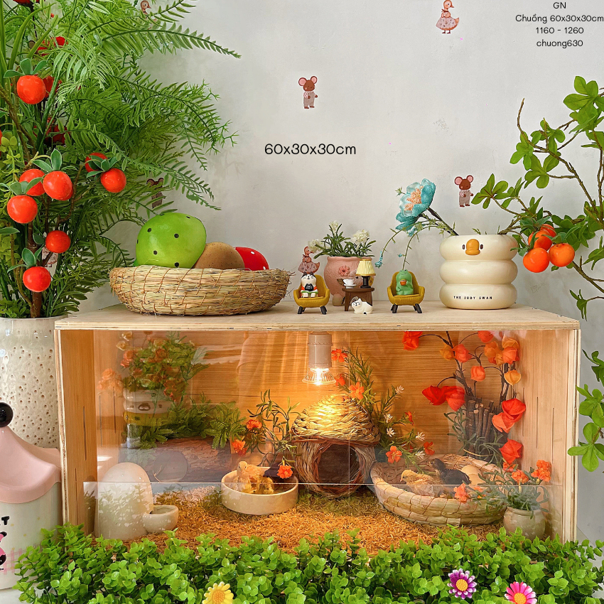 Chuồng Gà Rutin 60x30x30 Full Combo chuồng, nuôi Gà Rutin, chuột Hamster