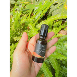 Đại Hồi Tán D’Vi Nature