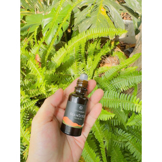 Đại Hồi Tán D’Vi Nature