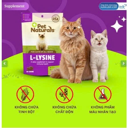 (SNACK THỰC PHẨM CHỨC NĂNG) VIÊN NHAI BỔ SUNG LYSINE CHO MÈO - L-LYSINE