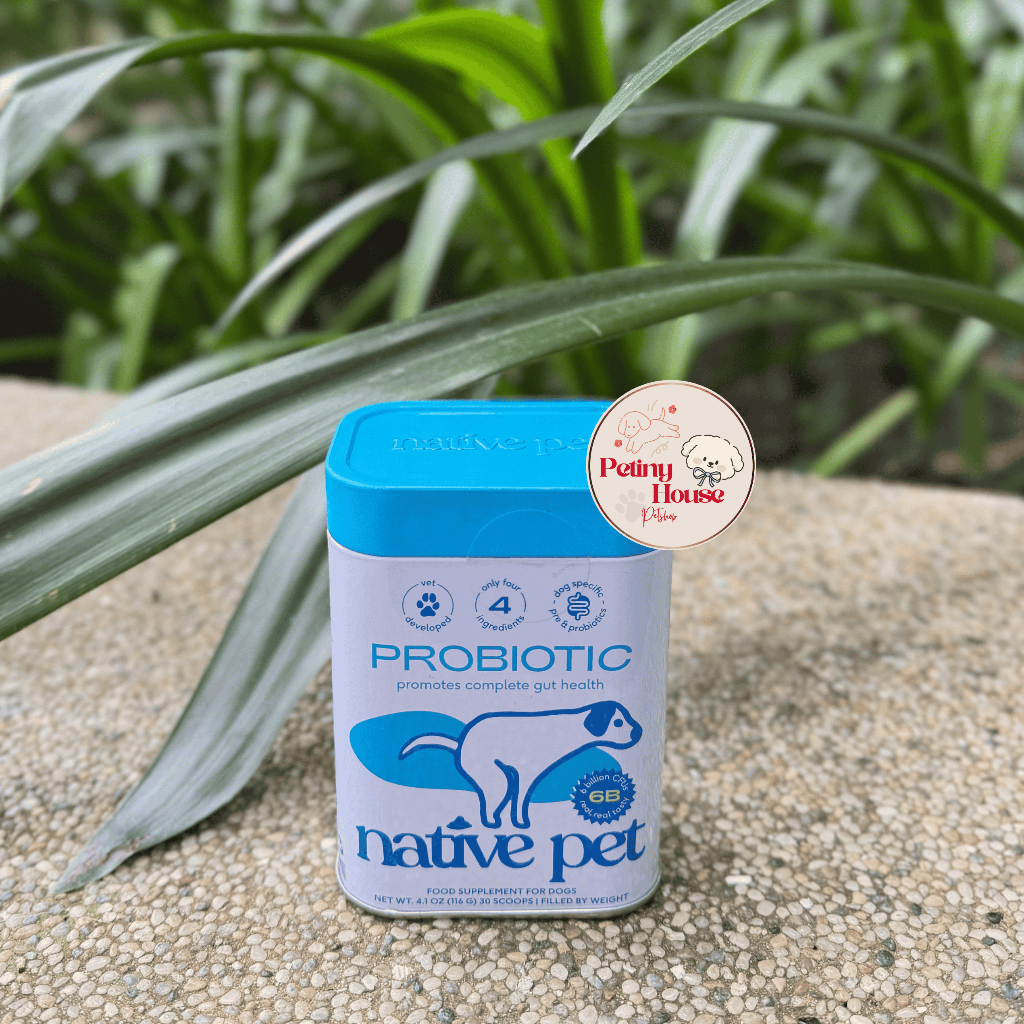 (Hàng Mỹ) Bột Men Vi Sinh Cho Chó Probiotics By Native Pet , Hỗ Trợ Tiêu Hóa, Đường Ruột, Tăng Miễn 