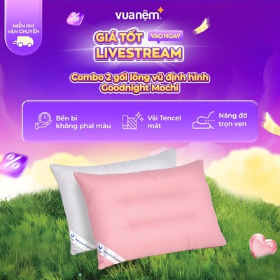 Combo 2 gối gòn lông vũ định hình Goodnight Mochi 45x65cm