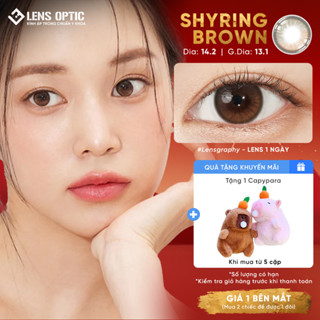 Kính Áp Tròng Lens Optic Màu Nâu Shyring Brown LENSGRAPHY 1 Ngày DIA 14.2mm Có Độ/ Không Độ Cận