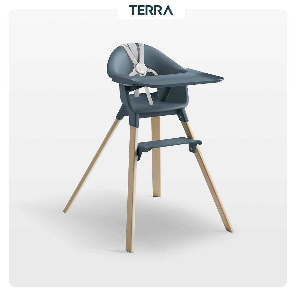 Ghế Ăn Trẻ Em Blue Fjord Kèm Khay & Đai An Toàn 5 Điểm | Ghế Ăn Dặm Terra Home