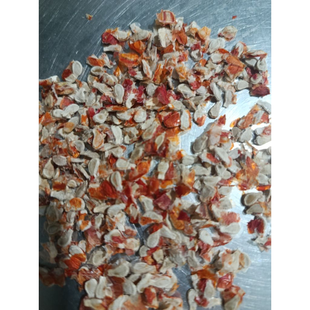 Hạt giống bình bát dây,