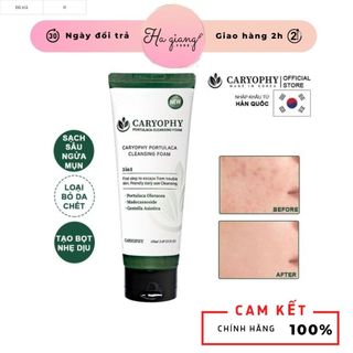 Sữa Rửa Mặt Caryophy Làm Sạch Sâu, Phục Hồi Da Portulaca Cleansing Foam 150ML - Ngăn Ngừa Mụn Giảm Thâm
