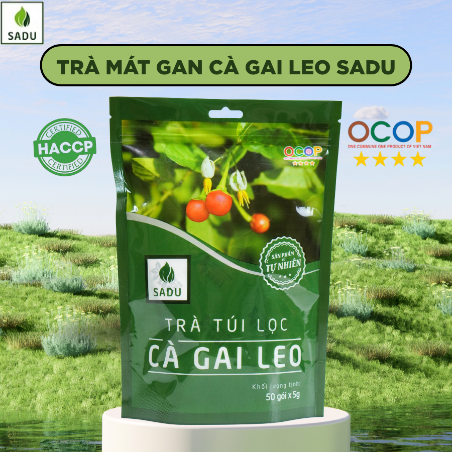 Trà Mát Gan Cà Gai Leo Túi Lọc SaDu- Hỗ Trợ Mát Gan, Nóng Trong , Nổi Mụn, Giải Rượu