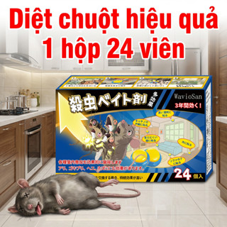 Thuốc diệt chuột hiệu quả Thu hút chuột nhanh, tiêu diệt triệt để 1 hộp 24 viên