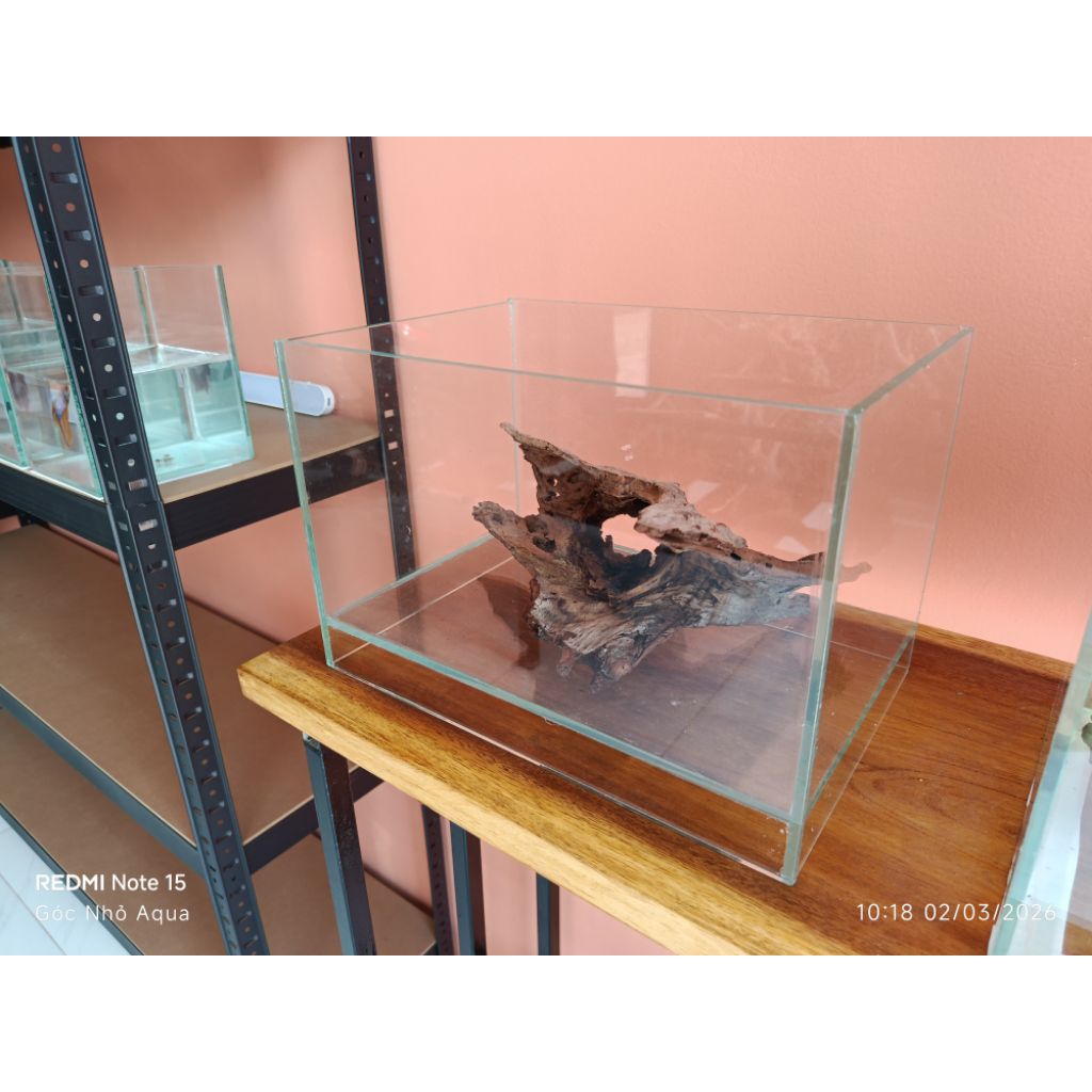 Hồ cá nâng đáy 30x20x20 cm