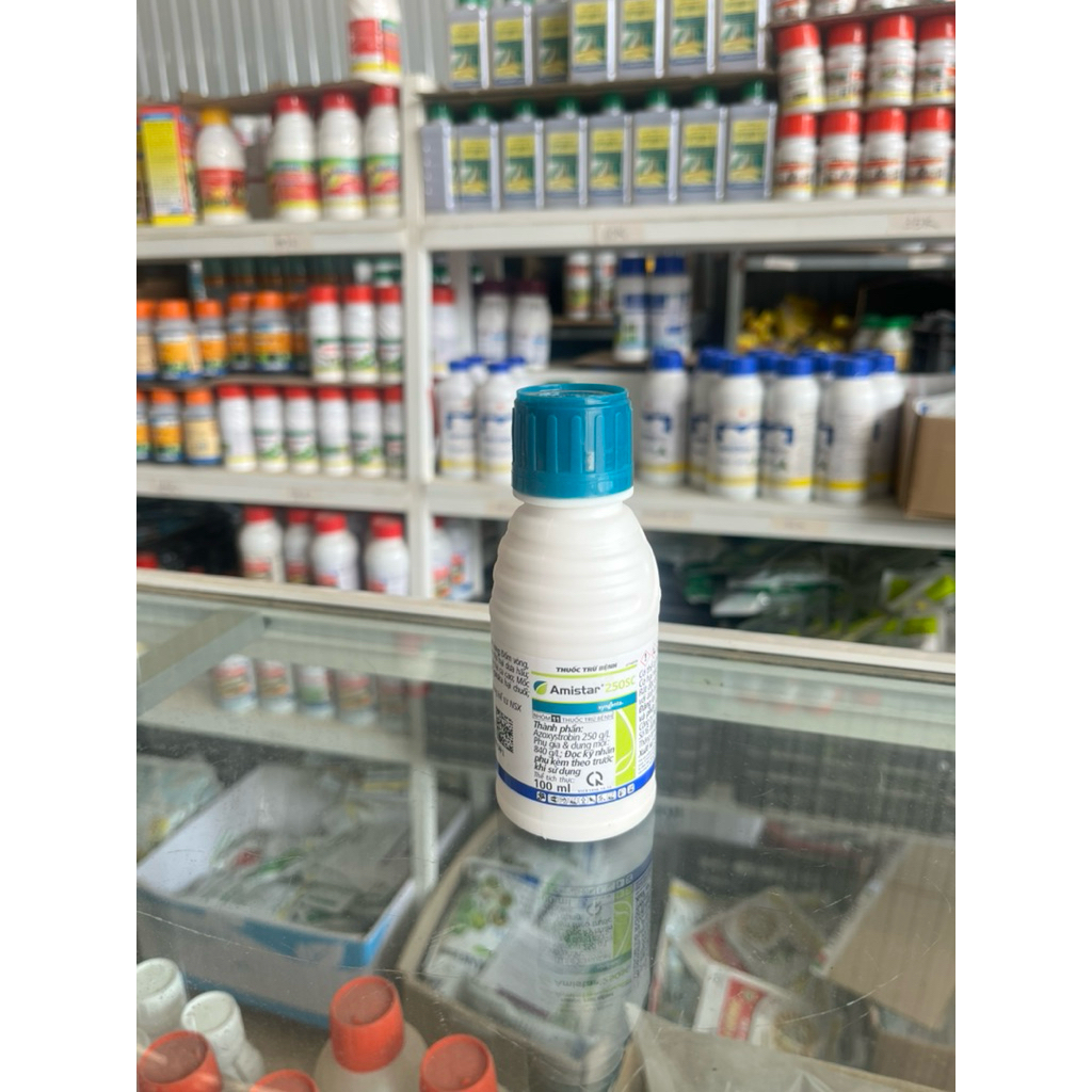 Amistar 250SC syngenta- Chai 100ml- phòng trừ thán thư nấm bệnh, giúp lá xanh hơn