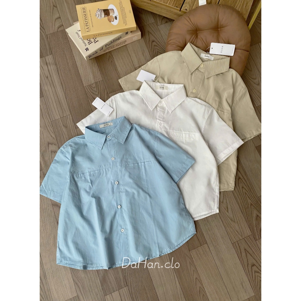 (QCCC) DH110👕 Blouse Pastel Cổ Bẻ – Tinh Tế & Dễ Phối