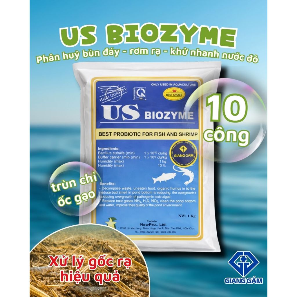 US BIOZYME 1KG - men vi sinh làm sạch đáy ao, làm sạch nước ao tôm cá