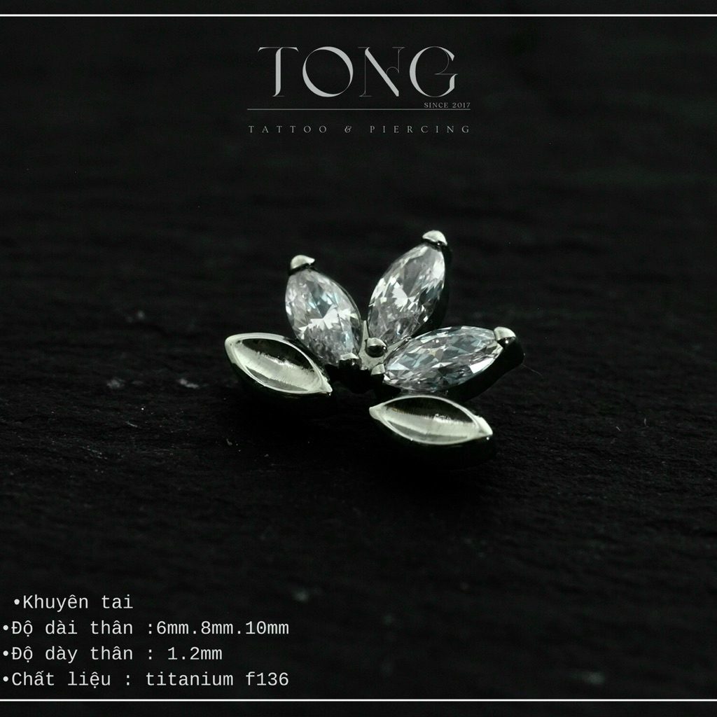 khuyên tai titanium f136