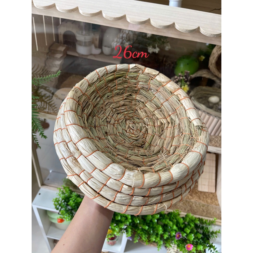 Tổ Cho Gà Rutin Tổ Gà Rutin Tổ Chim Cút Tổ Cút Hắc He Ổ Gà Rutin Ổ Cho Gà Đẻ Ổ mèo Đẻ Ổ Chim Cút Ổ N