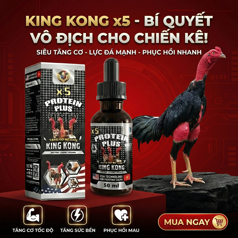 KingKong X5 – Dinh Dưỡng Hỗ Trợ Gà Khỏe Tự Nhiên | Cơ Chắc – Gân Khỏe – Da Đỏ