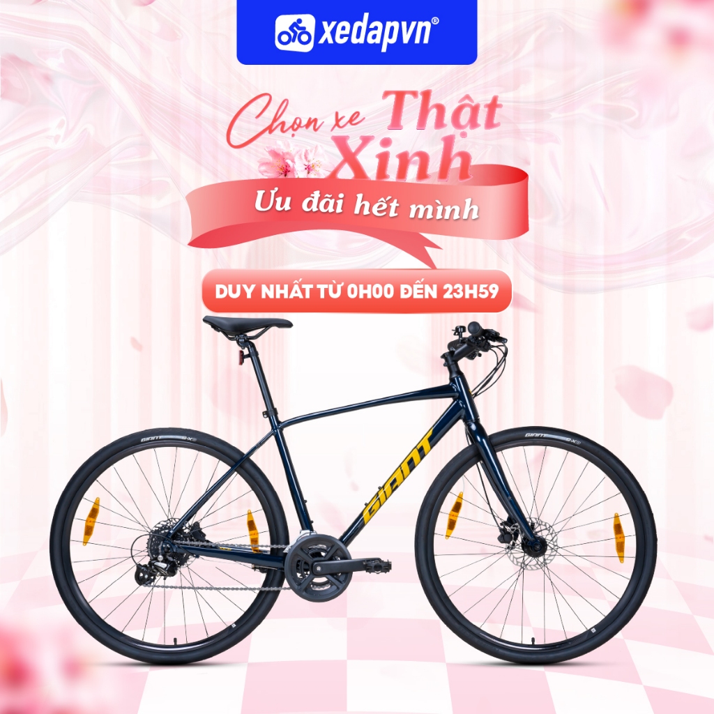 Xe Đạp Touring GIANT Escape 3 Disc – Bánh 700C, 21 Tốc Độ – Phù Hợp Người Cao 1m55–1m90 | xedapvn
