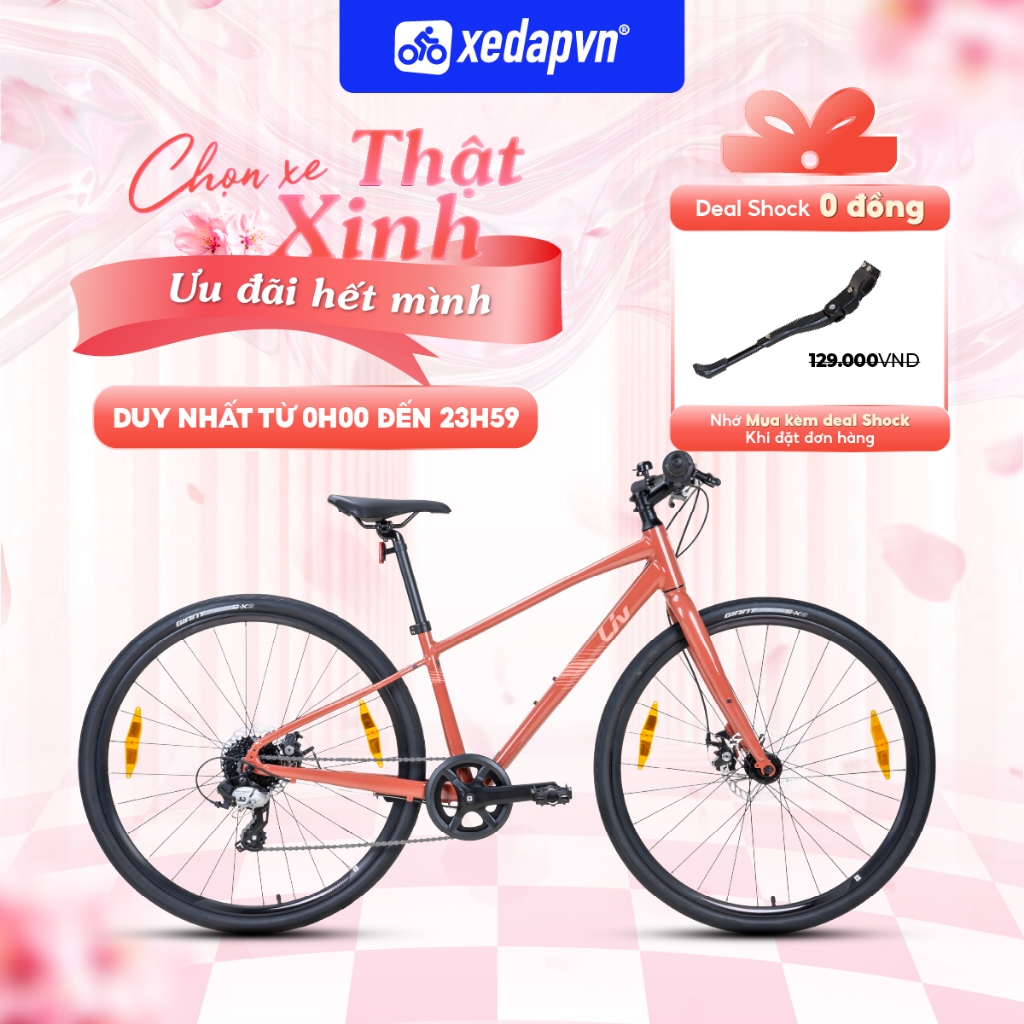 Xe Đạp Touring LIV Alight 2/3/4 Disc – Bánh 700C, Phanh Đĩa, Shimano 8 Tốc Độ, Phù hợp Người Cao 1m55–1m75 | xedapvn