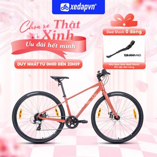 Xe Đạp Touring LIV Alight 2/3/4 Disc – Bánh 700C, Phanh Đĩa, Shimano 8 Tốc Độ, Phù hợp Người Cao 1m55–1m75 | xedapvn