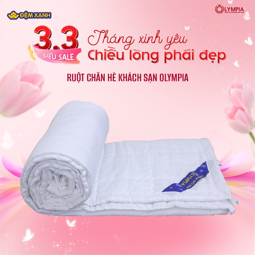 Ruột chăn hè khách sạn Olympia