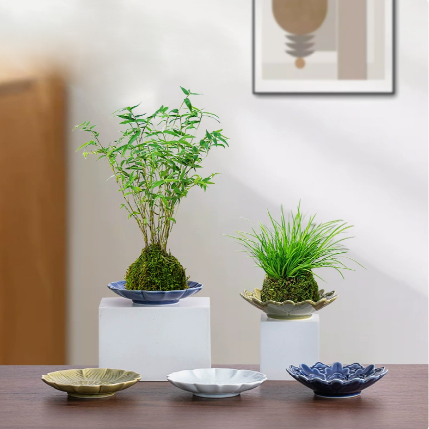 chậu cắm bonsai ikebana chậu hoa văn hoa sen IKE11 thích hợp bày hoa quả trang trí 13,5cm