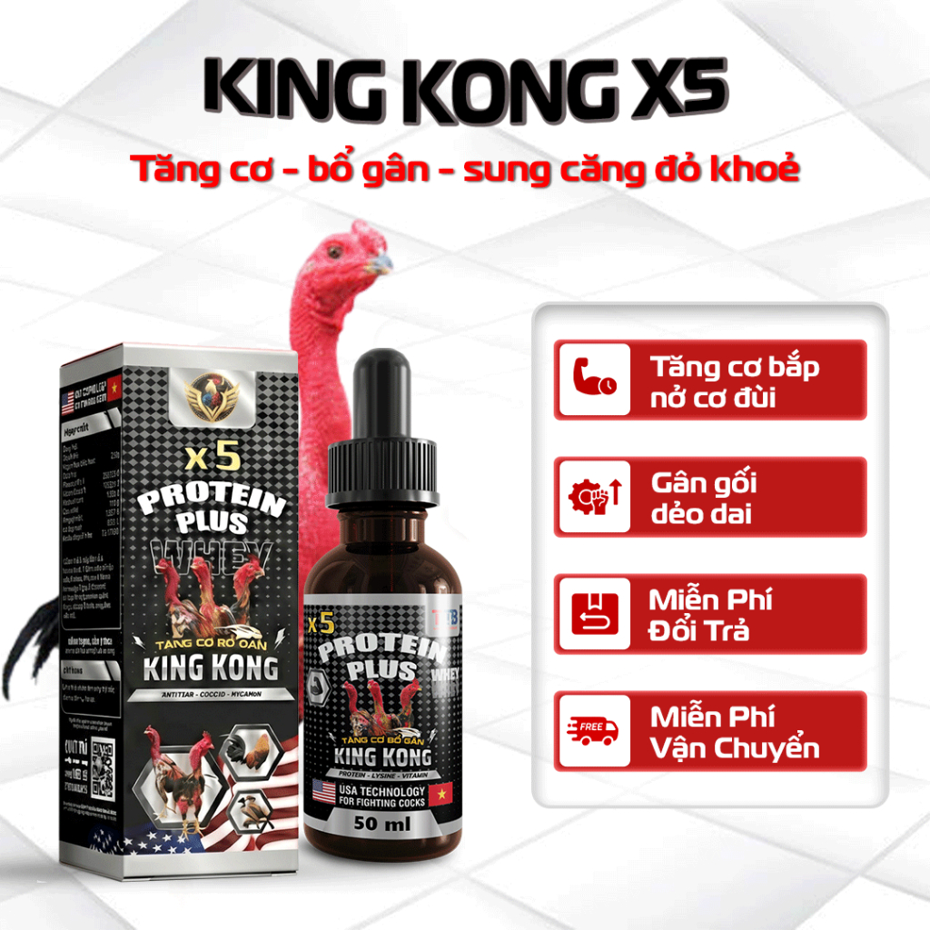 KING KONG X5 – Tăng Cơ Bắp – Bổ Gân – Sung Đỏ Khỏe – Dinh Dưỡng Cho Gà Chọi – X5 Protein Plus 50ml