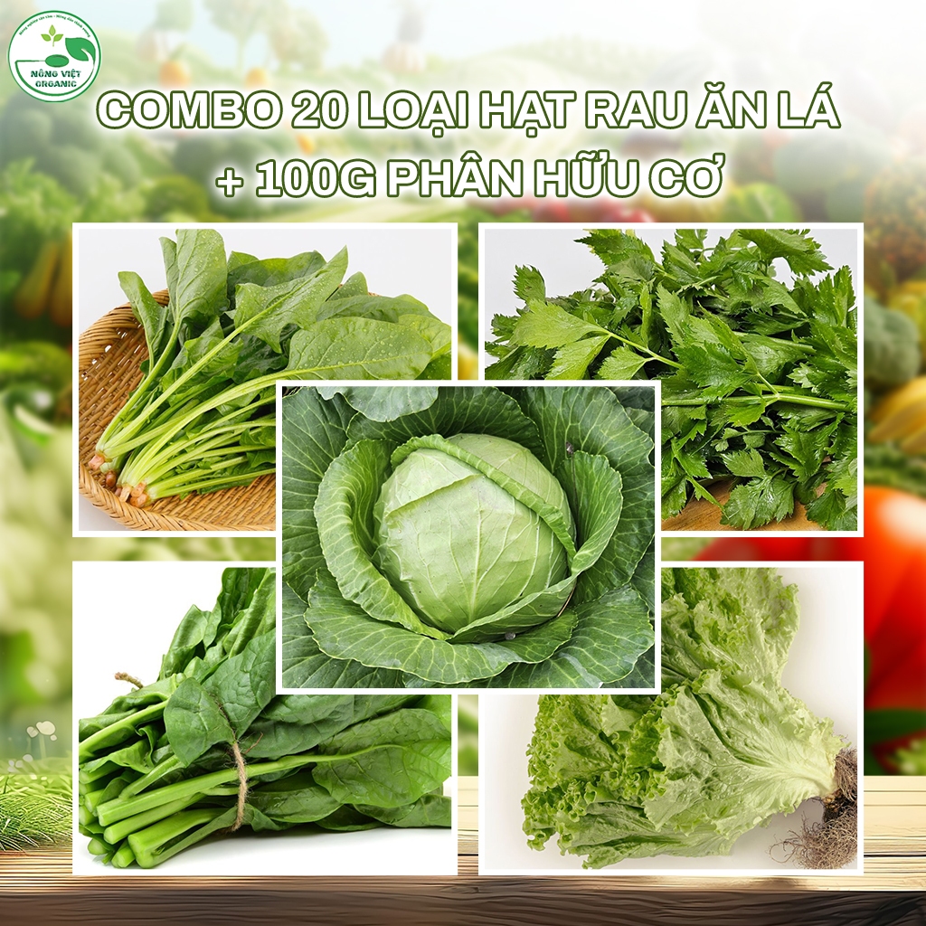 Combo 20 Loại Hạt Giống Rau Ăn Lá + 100g Phân Hữu Cơ – Trồng Rau Sạch Tại Nhà, Nảy Mầm Cao