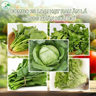 Combo 20 Loại Hạt Giống Rau Ăn Lá + 100g Phân Hữu Cơ – Trồng Rau Sạch Tại Nhà, Nảy Mầm Cao