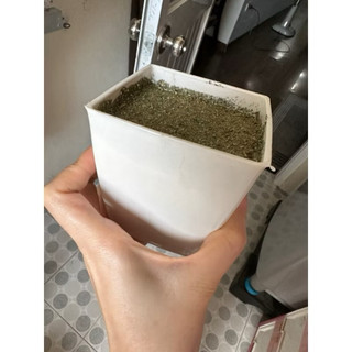 Cây giả - cây lá đốm 30cm/40cm